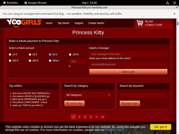 Free Passwords Princess Kitty