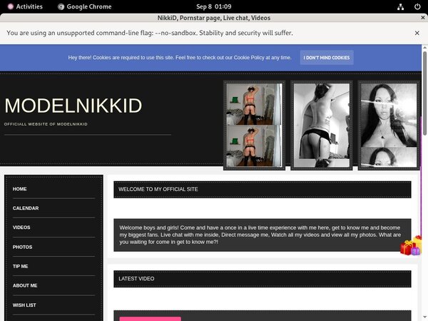 Modelnikki.modelcentro.com Paysite Review