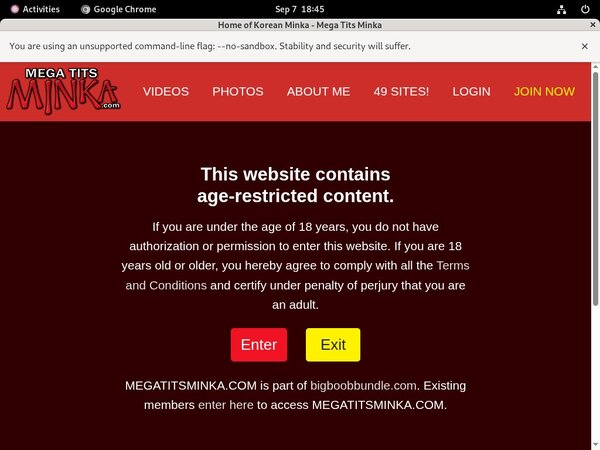Freemegatitsminka.com Password