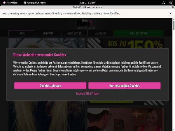 LindaKiss Passwords Blog