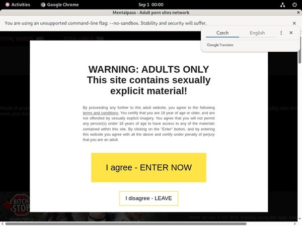 Watch Mentalpass