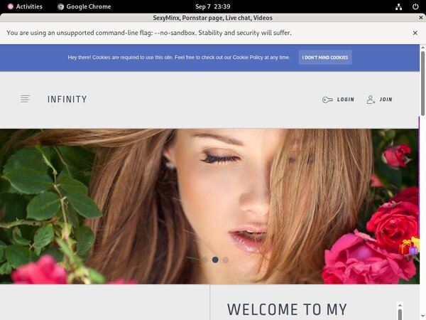 SexyMinx Passcode SexyMinx Passcode